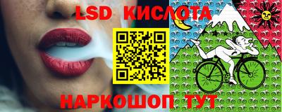 амфетамин Бердск