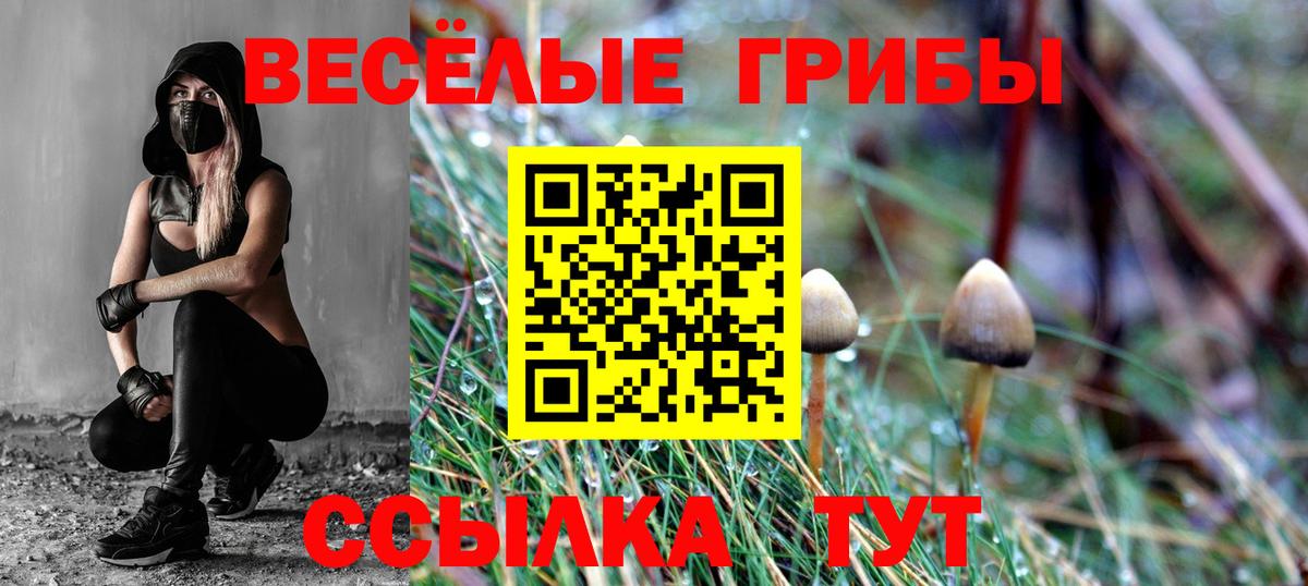 Галлюциногенные грибы ЛСД Кемерово